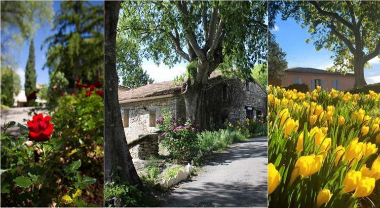 Hôtel Le Hameau De L'Etoile à Saint-Martin-de-Londres Extérieur photo